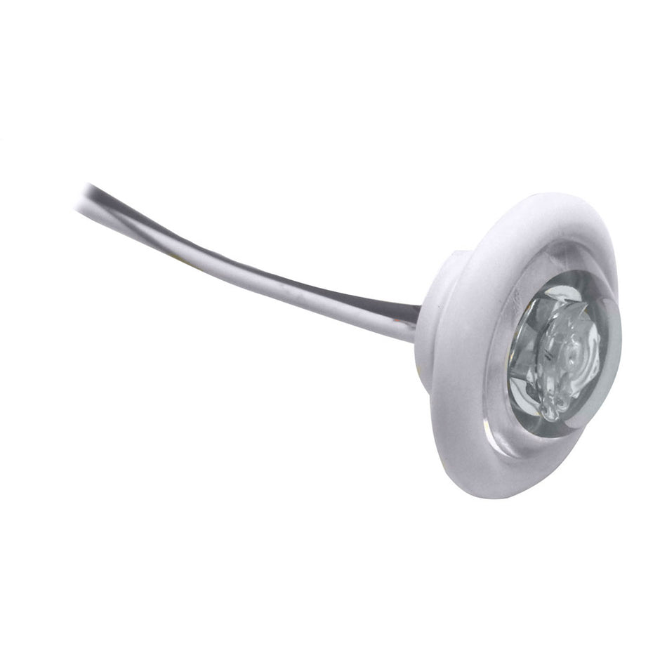 Luminaire LED pour cloison/vivier Innovative Lighting « The Shortie » LED blanche avec œillet blanc [011-5540-7]