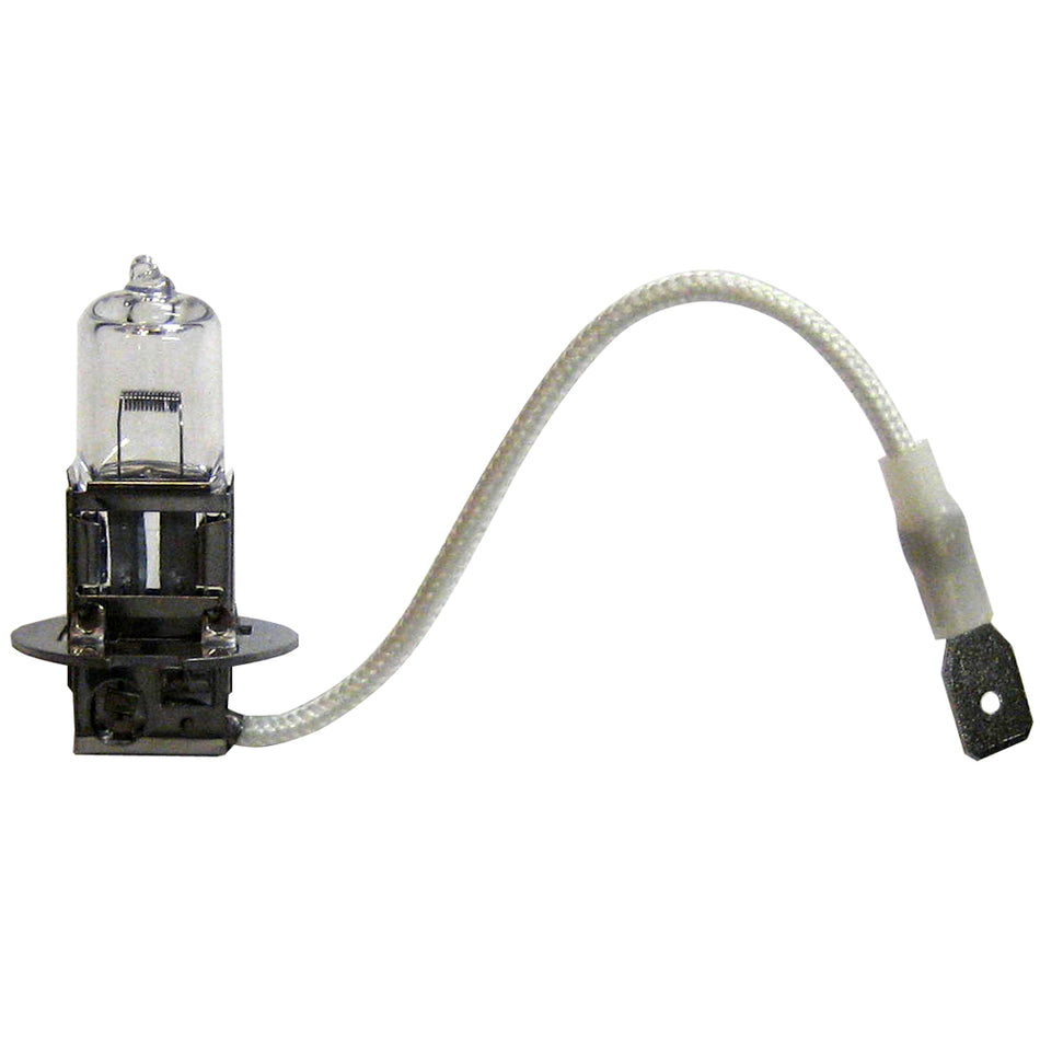 Ampoule halogène de rechange Marinco H3 pour projecteur SPL - 12 V [202319]