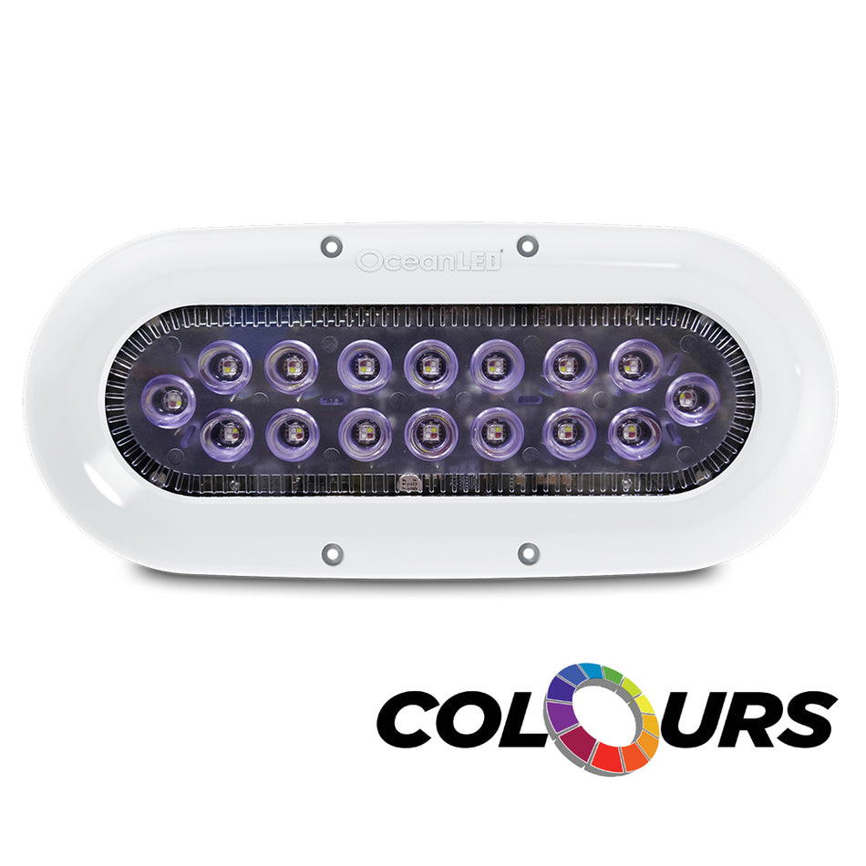 Ocean LED X-Series X16 - LED de couleurs [012311C]